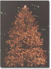 The Rockerfeller Center Christmas Tree